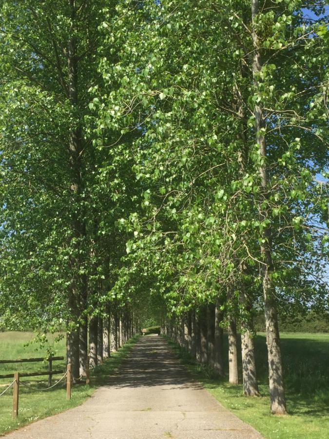 The Long Barn Villa Baltonsborough Bagian luar foto